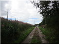 Track to the sewage works, Carstairs