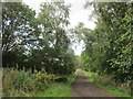 Track to Westwalk Wood