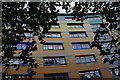 Looking up at Lewisham Hospital through the trees in Ladywell Fields