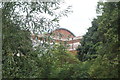 View of one of the Lewisham Hospital buildings poking above the trees from Ladywell Fields