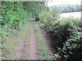 Bridleway by Weston Common