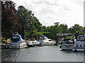 Marina by Chertsey Meads