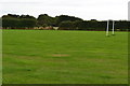 Sports ground south of Moortown Lane