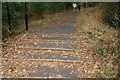 View up the steps in Hilly Fields Park