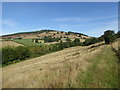 Path and upland meadows near Aston-on-Clun