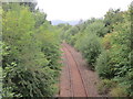 Railway to Alloa at Kilbagie