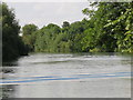 The River Thames upstream from Chertsey Lock