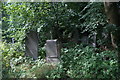 View of gravestones in Ladywell & Brockley Cemetery #7