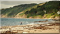 Skimming stones on Downderry beach