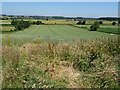 View north from Ambion Hill