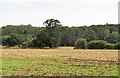 SE3077 : Across fields to Sloe Wood by Gordon Hatton