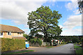 Grovelands Road, Winchester