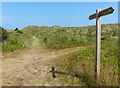 Norfolk Coast Path near Poplar Farm