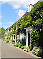 Wisteria Covered House, Back Street, St Cross