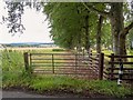 Gated field access to Carn Glas