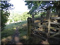 Stile on the Shropshire Way near Hopesay