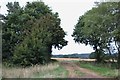 Field entrance on the A272, Durleighmarsh