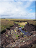 NY9110 : Collapsed peat banks of stream by Trevor Littlewood