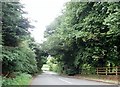 The A25 Blaney Road on the outskirts of Newtownhamilton