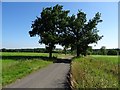 Thornbury Hill Lane