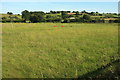 Fields near Spring House Farm