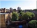 Gardens to rear of houses on Kitchener Road