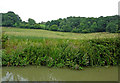 Canalside pasture south of Laughton in Leicestershire