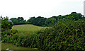 Canalside pasture south of Laughton in Leicestershire