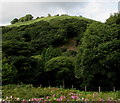 Hilltop mast above Blackmill