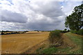 Countryside south of Ridlington