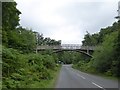 Cycle bridge at Cannop