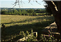 Cattle pasture near North Rigton