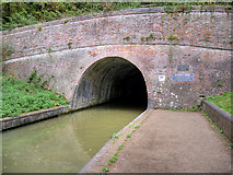 SP7350 : Blisworth Tunnel, Southern Portal by David Dixon