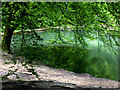 Waggoners Wells Upper Pond