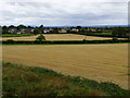 Stubble field east of Gotherington