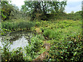 Elsecar Branch Canal between Elscar and Hemingfield