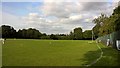 Along the boundary at Kelvedon & Feering Cricket Club