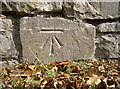 Benchmark on the wall