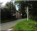 Three Sycamores Cross