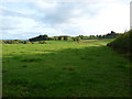 Field near Kilallan Farm