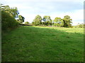 Field near Kilallan Farm