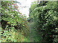 Footpath to Selby Road