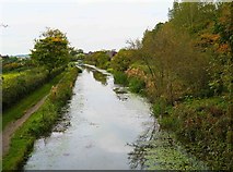 SU0781 : Restored section of canal at Templar's Firs, Royal Wootton Bassett, Wilts by P L Chadwick