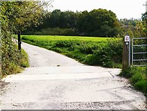 SU0781 : Road from car park to Wilts & Berks Canal terminus at Templar's Firs, Royal Wootton Bassett, Wilts by P L Chadwick