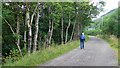 On the Cowal Way, approaching Stronafyne