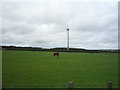 Grazing and wind turbine near Tanner