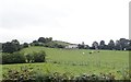 Farmhouse and outbuildings on Conlon Hill