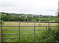 View across grazing land in the direction of McKinley