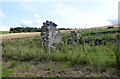 Ruined sheep pens