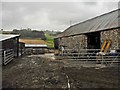 Yard at Higher Bruckland Farm